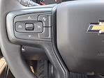 2025 Chevrolet Silverado 1500 Regular Cab 4x2 Pickup for sale #SG313175 - photo 16