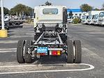 2025 Chevrolet LCF 5500XG Regular Cab 4x2 Cab Chassis for sale #SSR05956 - photo 5