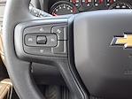 2025 Chevrolet Silverado 1500 Crew Cab 4x2 Pickup for sale #SZ284366 - photo 18