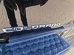 2023 Chevrolet Colorado Crew Cab 4WD Pickup for sale #C8172 - photo 44