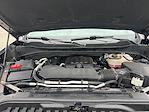 2023 Chevrolet Silverado 1500 Crew Cab 4WD Pickup for sale #C8173 - photo 66