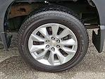 2020 Chevrolet Silverado 1500 Crew Cab 4x4 Pickup for sale #D25161B - photo 13