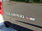 2019 Chevrolet Colorado Crew Cab 4x4 Pickup for sale #D25334B - photo 34