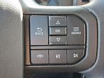 2024 Ford F-250 Crew Cab 4WD Pickup for sale #6852491 - photo 17