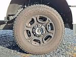 2024 Ford F-250 Crew Cab 4WD Pickup for sale #6852491 - photo 7