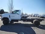 2023 Chevrolet Silverado 4500 Regular Cab DRW 4WD Cab Chassis for sale #C101080 - photo 6