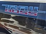 2025 Chevrolet Silverado 1500 Crew Cab 4x4 Pickup for sale #24942 - photo 11