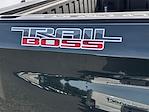 2025 Chevrolet Silverado 1500 Crew Cab 4x4 Pickup for sale #25125 - photo 14