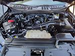 2023 Ford F-150 SuperCrew Cab RWD Pickup for sale #146P - photo 28