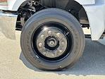 2024 Chevrolet Silverado 5500 Regular Cab DRW 2WD Cab Chassis for sale #R560906 - photo 36
