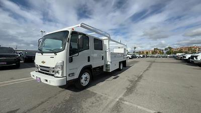 2024 Chevrolet LCF 5500XG Crew Cab RWD, Scelzi WFB Contractor Truck for sale #RR01746 - photo 1