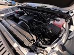 2025 Chevrolet Silverado 2500 Regular Cab SRW 2WD Pickup for sale #S240378 - photo 99