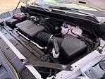 2025 Chevrolet Silverado 1500 Double Cab 2WD Pickup for sale #S284361 - photo 5