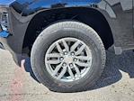 New 2025 Chevrolet Colorado Work Truck Crew Cab Pickup for sale #150489 - photo 8