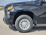 New 2026 Chevrolet Silverado 1500 Work Truck Regular Cab for sale #282797 - photo 5