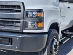 2023 Chevrolet Silverado 5500 Crew Cab DRW RWD, Flatbed Truck for sale #496377 - photo 6