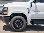 New 2024 Chevrolet Silverado 5500 Work Truck Regular Cab Cab Chassis for sale #529582 - photo 5