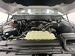 2024 Ford F-150 SuperCrew Cab 4x4 Pickup for sale #29900B - photo 33