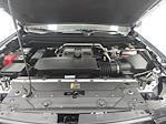2025 Chevrolet Colorado Crew Cab 4x4 Pickup for sale #33217 - photo 29