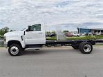 New 2024 Chevrolet Silverado 5500 Work Truck Regular Cab 4x4 Cab Chassis for sale #97668 - photo 5