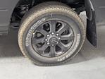 2025 Ram 3500 Crew Cab 4WD Pickup for sale #1D50171 - photo 32
