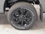 2025 Ram 2500 Mega Cab 4WD Pickup for sale #1D50327 - photo 16