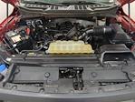 2022 Ford F-150 SuperCrew Cab 4WD Pickup for sale #1DD2089 - photo 19