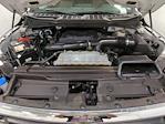 2023 Ford F-150 SuperCrew Cab 4WD Pickup for sale #1DW2560 - photo 19