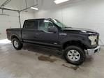 2016 Ford F-150 SuperCrew Cab 4WD Pickup for sale #1DX6100 - photo 3