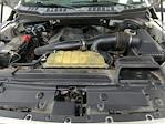2020 Ford F-150 SuperCrew Cab 4WD Pickup for sale #LKE40436W - photo 19