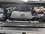 2024 Chevrolet Silverado 1500 Crew Cab 4x2 Pickup for sale #250688B - photo 14