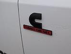 2024 Ram 3500 Crew Cab DRW 4x4 Pickup for sale #250709A - photo 6