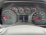2025 Chevrolet Silverado 1500 Crew Cab 4x2 Pickup for sale #250907 - photo 20