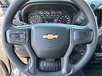 2025 Chevrolet Silverado 1500 Regular Cab 4x2 Pickup for sale #250922 - photo 19