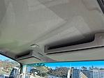 2025 Chevrolet LCF 4500HG Regular Cab RWD Landscape Dump for sale #251056 - photo 13