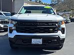 2024 Chevrolet Silverado 1500 Crew Cab 4x2 Pickup for sale #251073A - photo 6