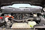 2024 Ford F-150 XLT 4WD for sale #RFA55183 - photo 10