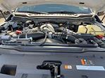 New 2024 Ford F-250 XL Crew Cab 4x4 Pickup for sale #40941 - photo 25
