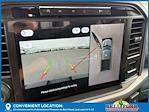 New 2024 Ford F-150 XLT SuperCrew Cab 4x4 Pickup for sale #41291 - photo 19