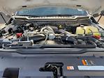 2024 Ford F-350 Crew Cab SRW 4x4 Pickup for sale #41302 - photo 27