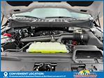 2025 Ford F-150 SuperCrew Cab 4x4 Pickup for sale #50146 - photo 31