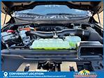 2025 Ford F-150 SuperCrew Cab 4x4 Pickup for sale #50153 - photo 31