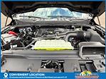 New 2025 Ford F-150 XLT SuperCrew Cab 4x4 Pickup for sale #50207 - photo 31