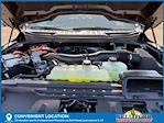 2025 Ford F-150 SuperCrew Cab 4x4 Pickup for sale #50227 - photo 30