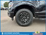 2025 Ford F-150 SuperCrew Cab 4x4 Pickup for sale #50243 - photo 10