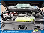 2025 Ford F-150 SuperCrew Cab 4x4 Pickup for sale #50247 - photo 31