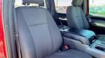 Used 2019 Ford F-150 XLT SuperCrew Cab Pickup for sale #50359A - photo 10
