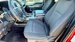 Used 2019 Ford F-150 XLT SuperCrew Cab Pickup for sale #50359A - photo 18
