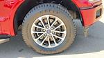Used 2019 Ford F-150 XLT SuperCrew Cab Pickup for sale #50359A - photo 5