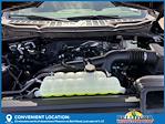 2025 Ford F-150 SuperCrew Cab 4x2 Pickup for sale #50471 - photo 27